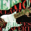 The Blues Concert