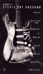 Tribute To Stevie Ray Vaughan