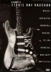A Tribute To Stevie Ray Vaughan